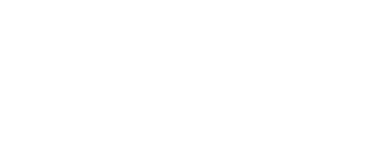 Pollaris — Consultoria Estratégica em RH